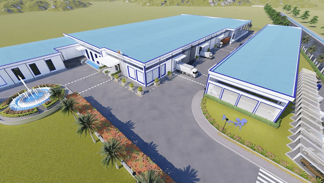 Ethiopian water plant