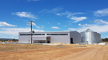 Ethiopian water plant