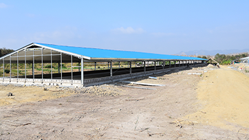 Philippine chicken house project