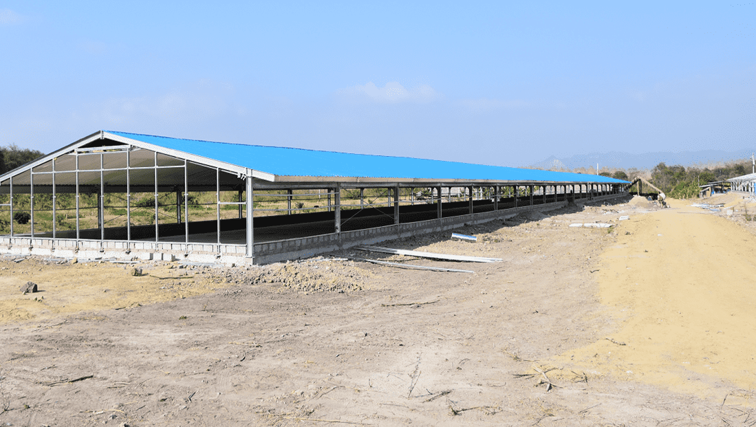 Ecuadorian henhouse